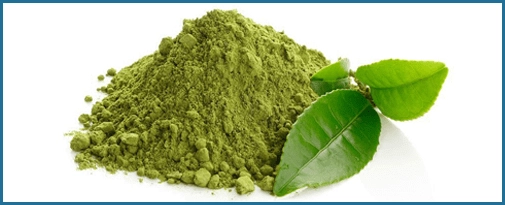 Green Tea Leaf Extract