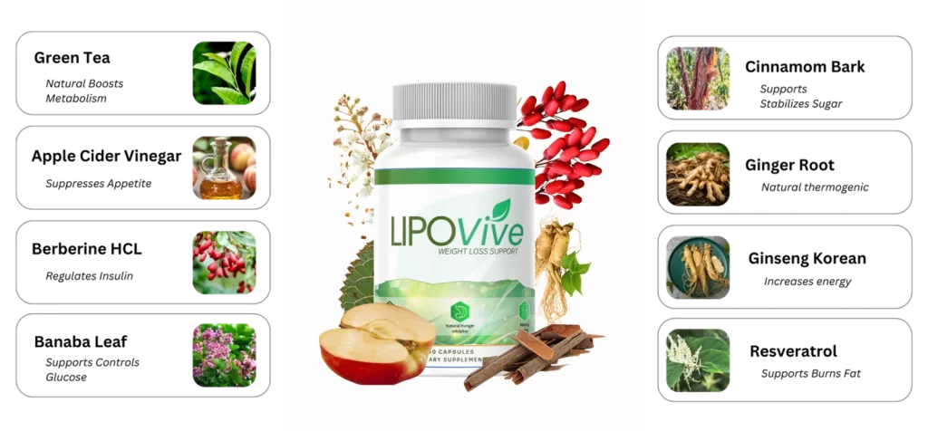 Lipovive ingredients